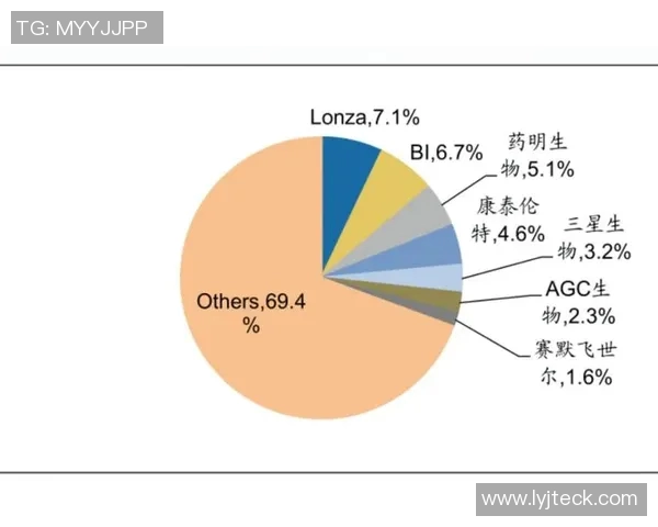 上海足球队的节奏探讨与发展现状分析